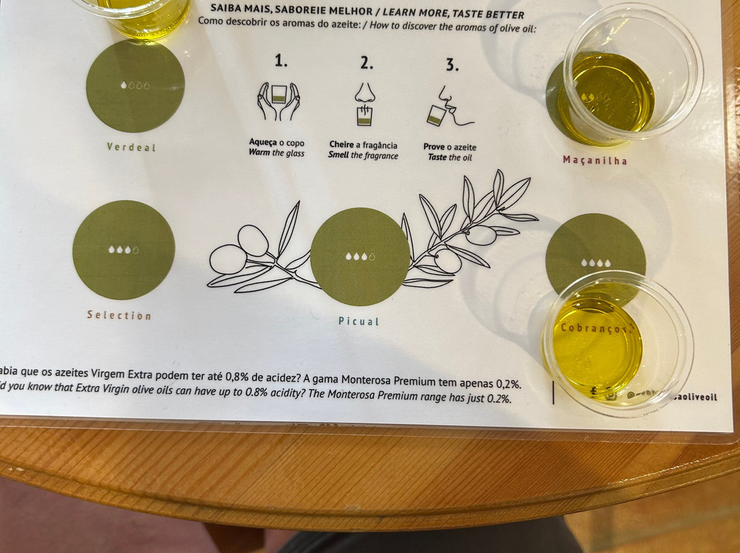 Monterosa Olive Oil Farm-Moncarapacho必去景点