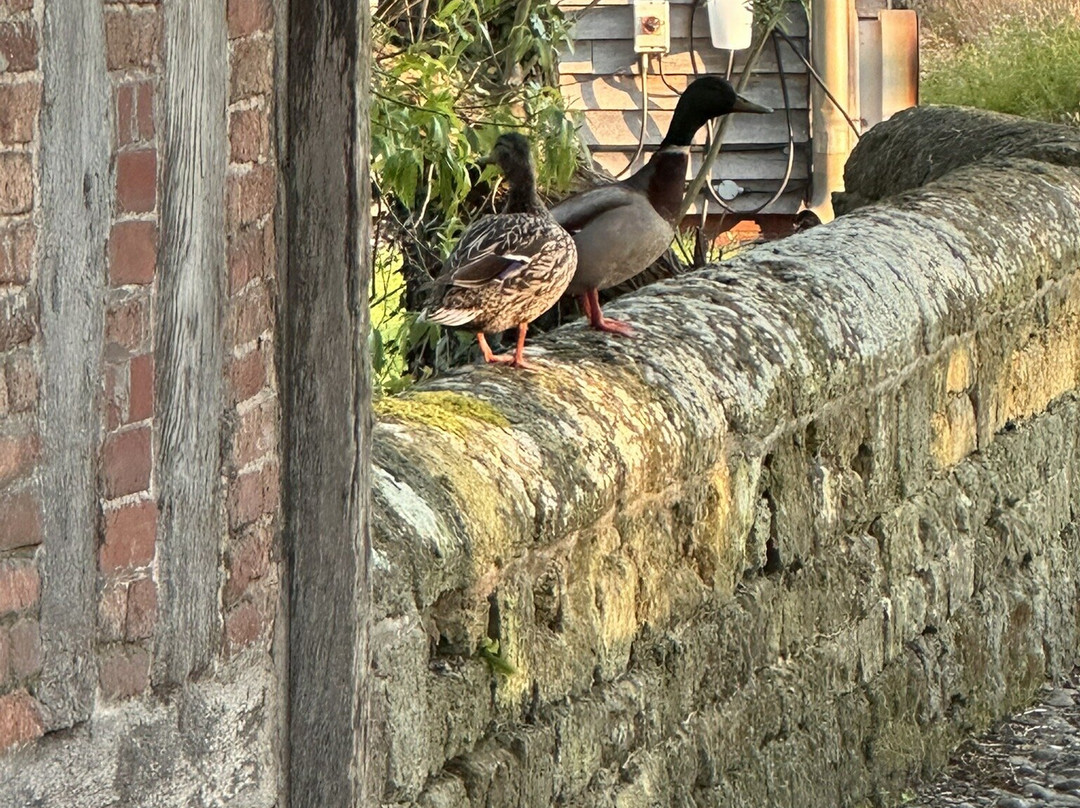 拜里弗斯考特酒店及水疗中心主图