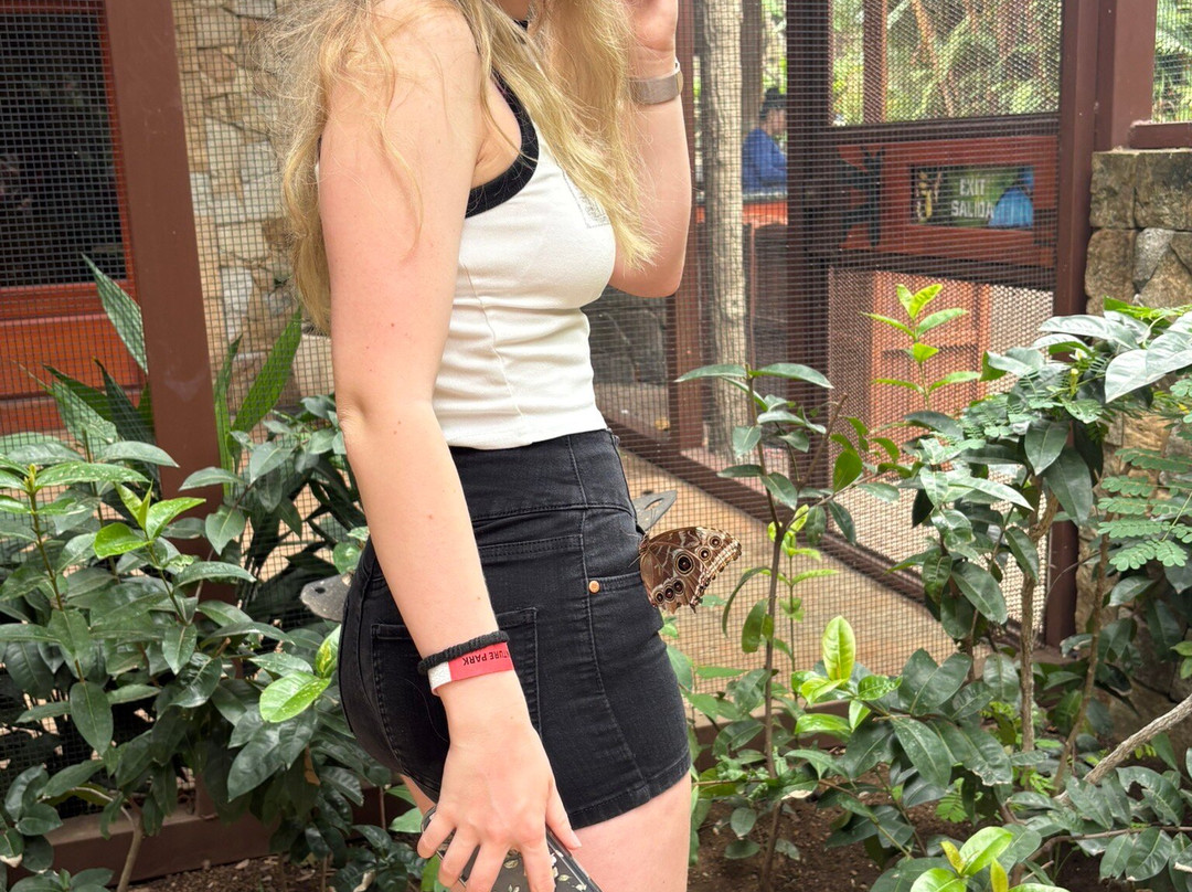 Diamante Eco Adventure Park-Playa Matapalo必去景点