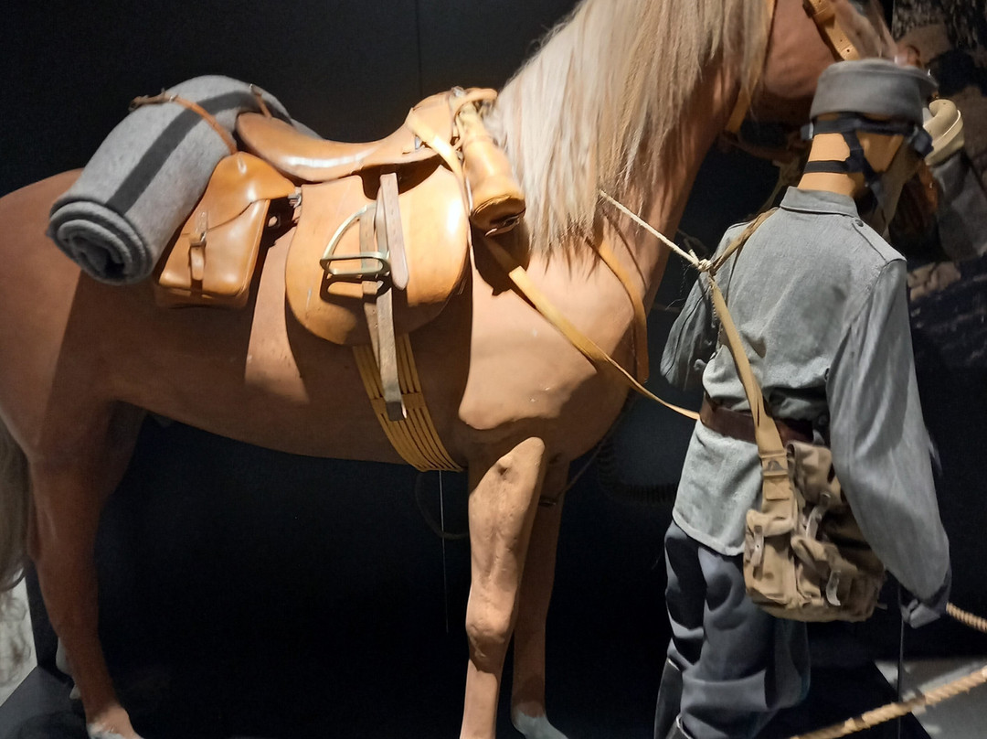 Museo Militaria-海门林纳必去景点