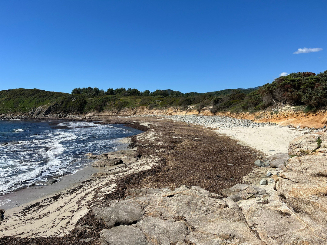Spiaggia Scoglio di Peppino-Muravera必去景点