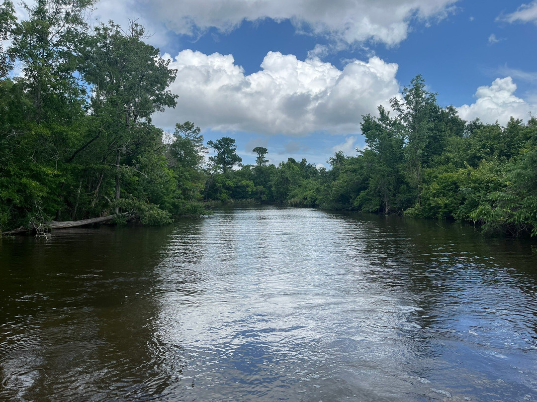 Cajun Pride Swamp Tours-LaPlace必去景点