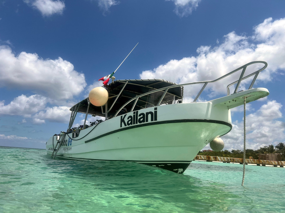 Scuba Life Cozumel-San Miguel de Cozumel必去景点