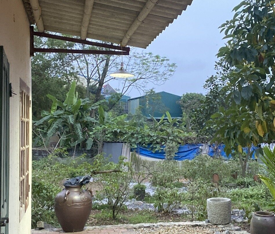 Silk Farm Bến Giá-宁平必去景点