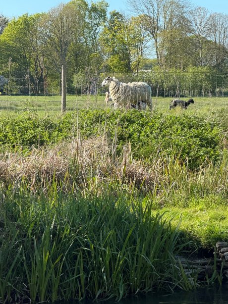 Red Lion at East Chisenbury Accommodation-旅行者