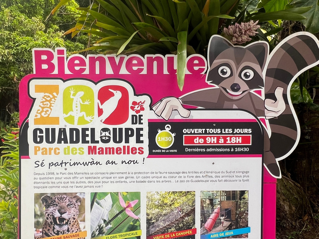 Zoo De Guadeloupe Au Parc Des Mamelles-Bouillante必去景点