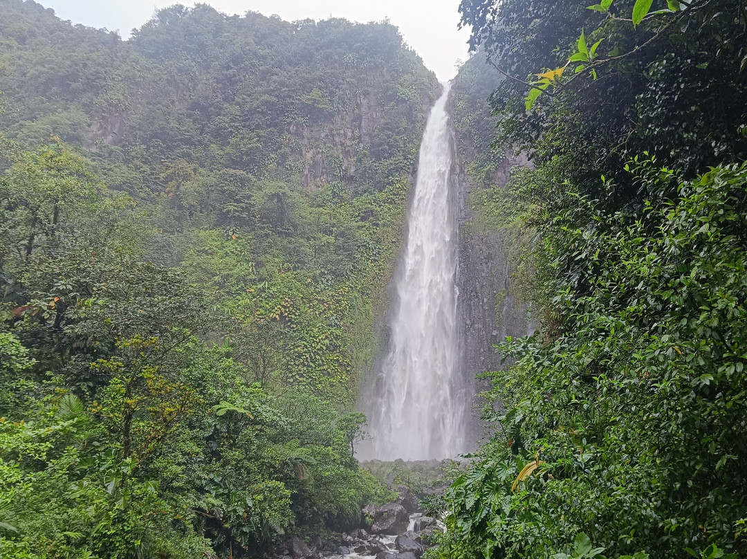 Carbet Falls (Les Chutes du Carbet)-Parc National必去景点