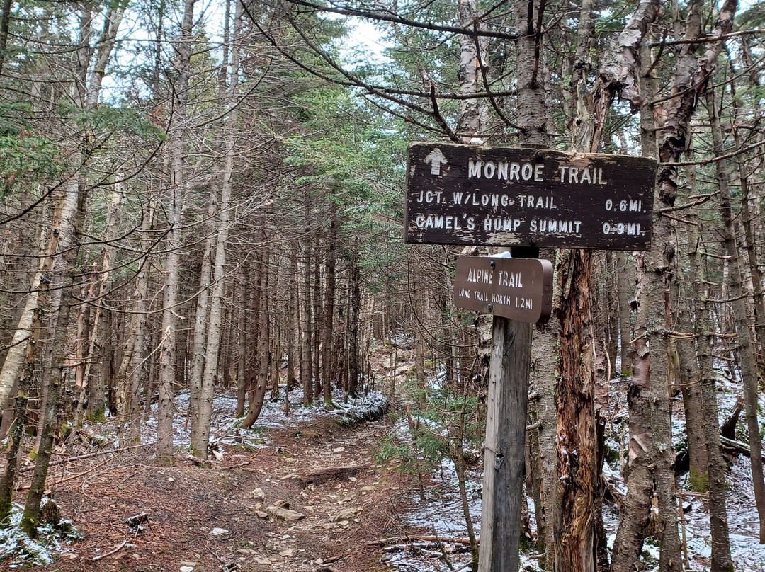 Camel's Hump State Park-沃特伯里必去景点