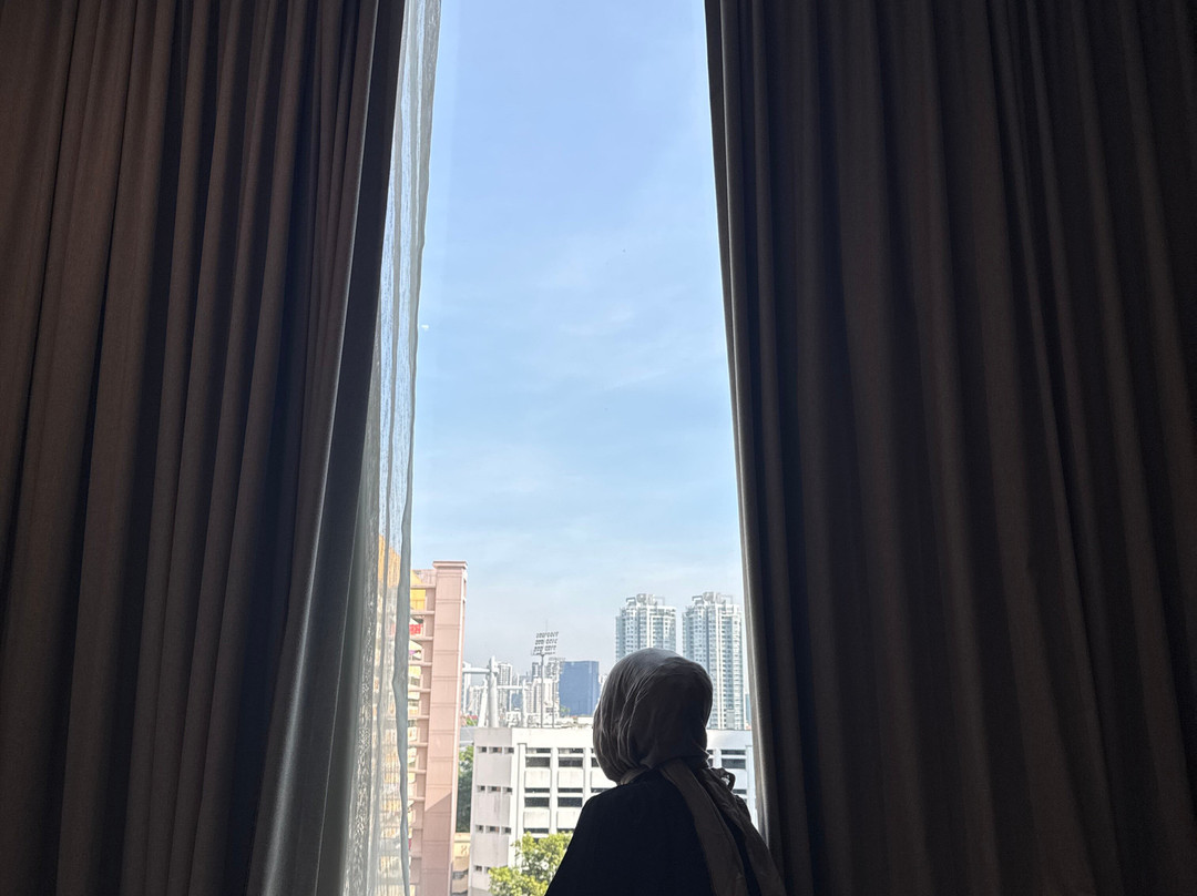 薰衣草 V 酒店主图