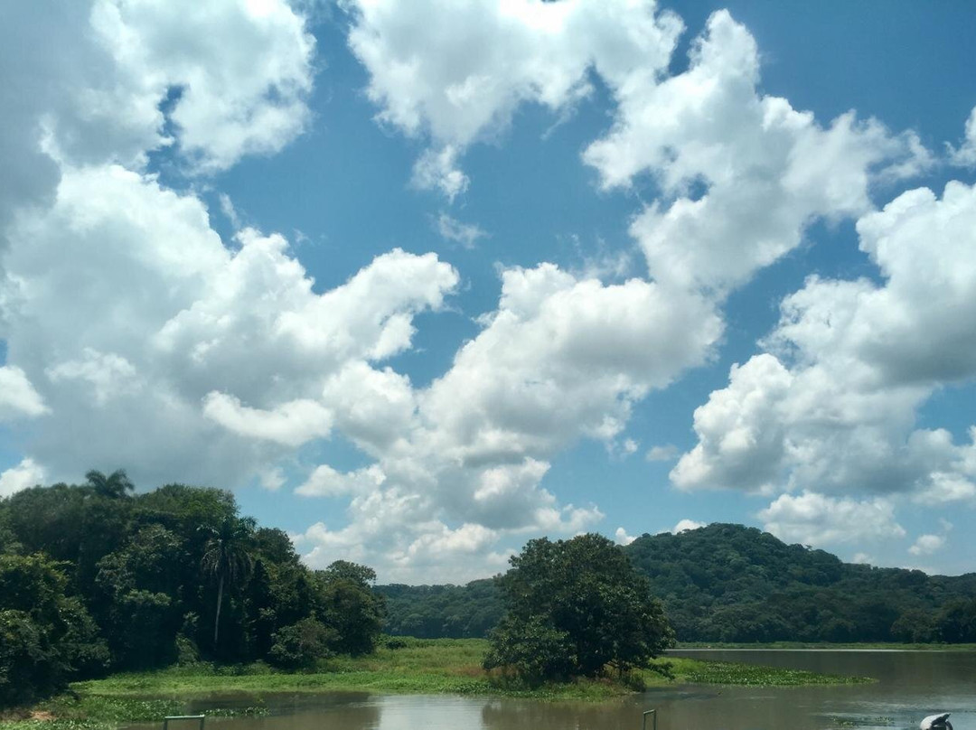 Gamboa Rainforest Resort Activities-甘博阿必去景点