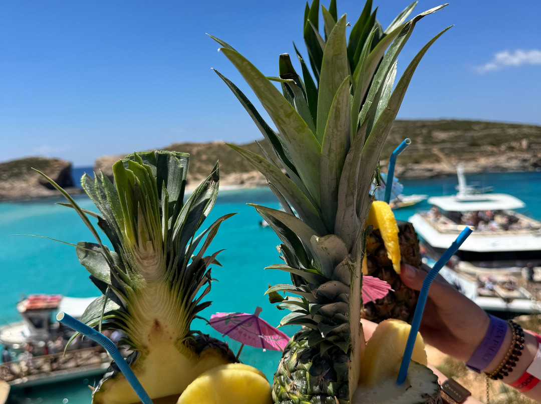 Comino Waves Boat Charters Malta-史克华必去景点