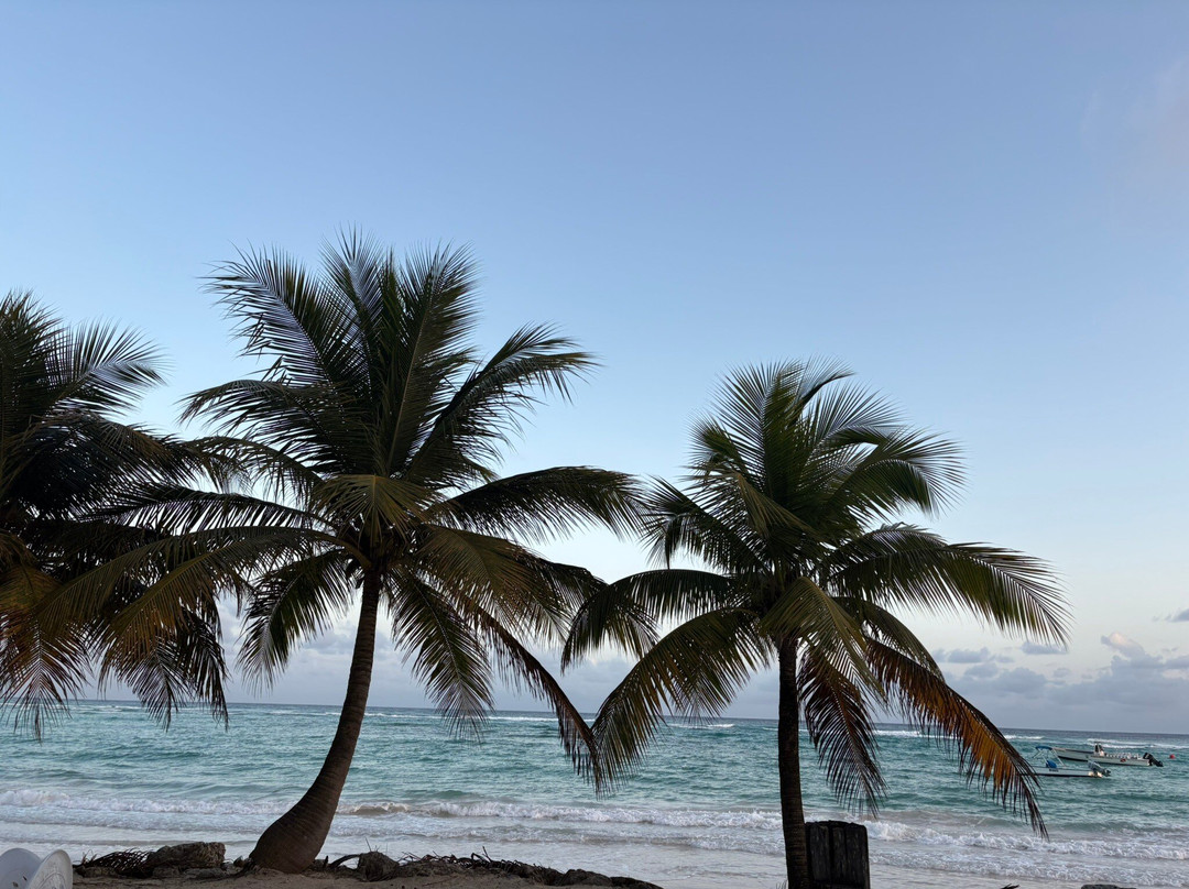 Carib Beach Bar-奥伊斯廷斯必去景点