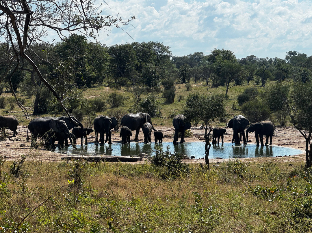 Hideaways Mankwe Tented Retreat, Greater Moremi主图