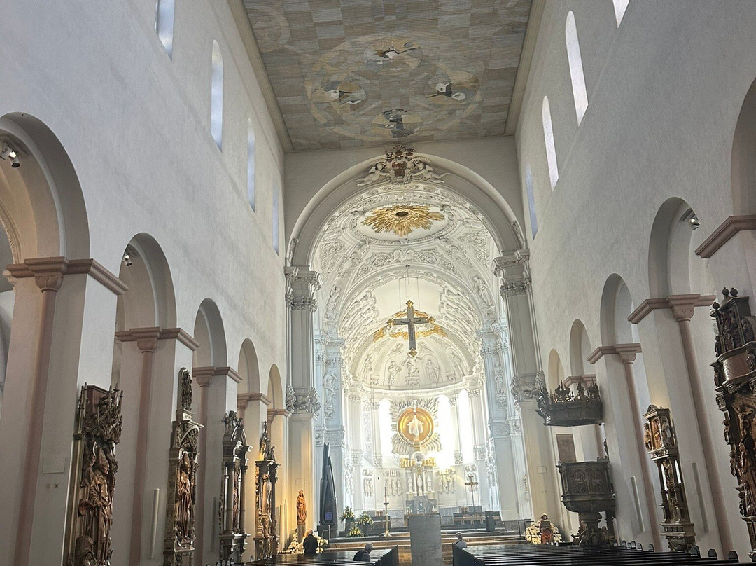 Wurzburg Cathedral-维尔茨堡必去景点