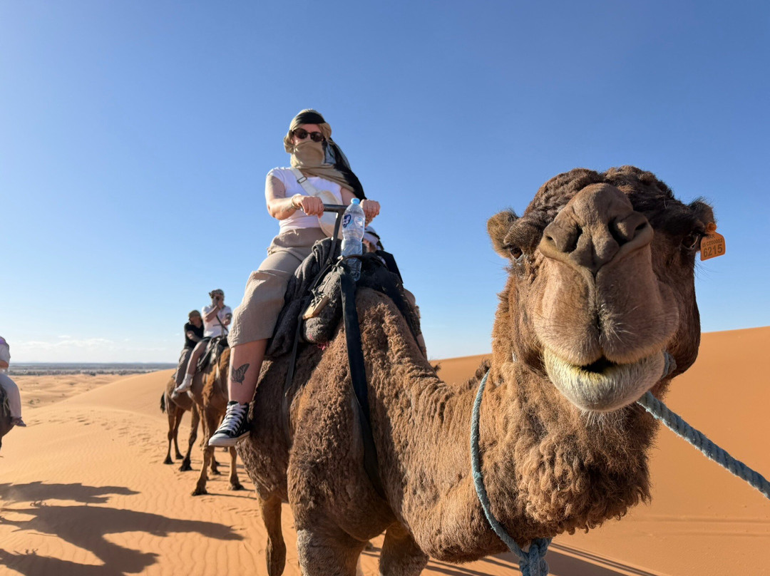 Viagem Marrakech-马拉喀什必去景点