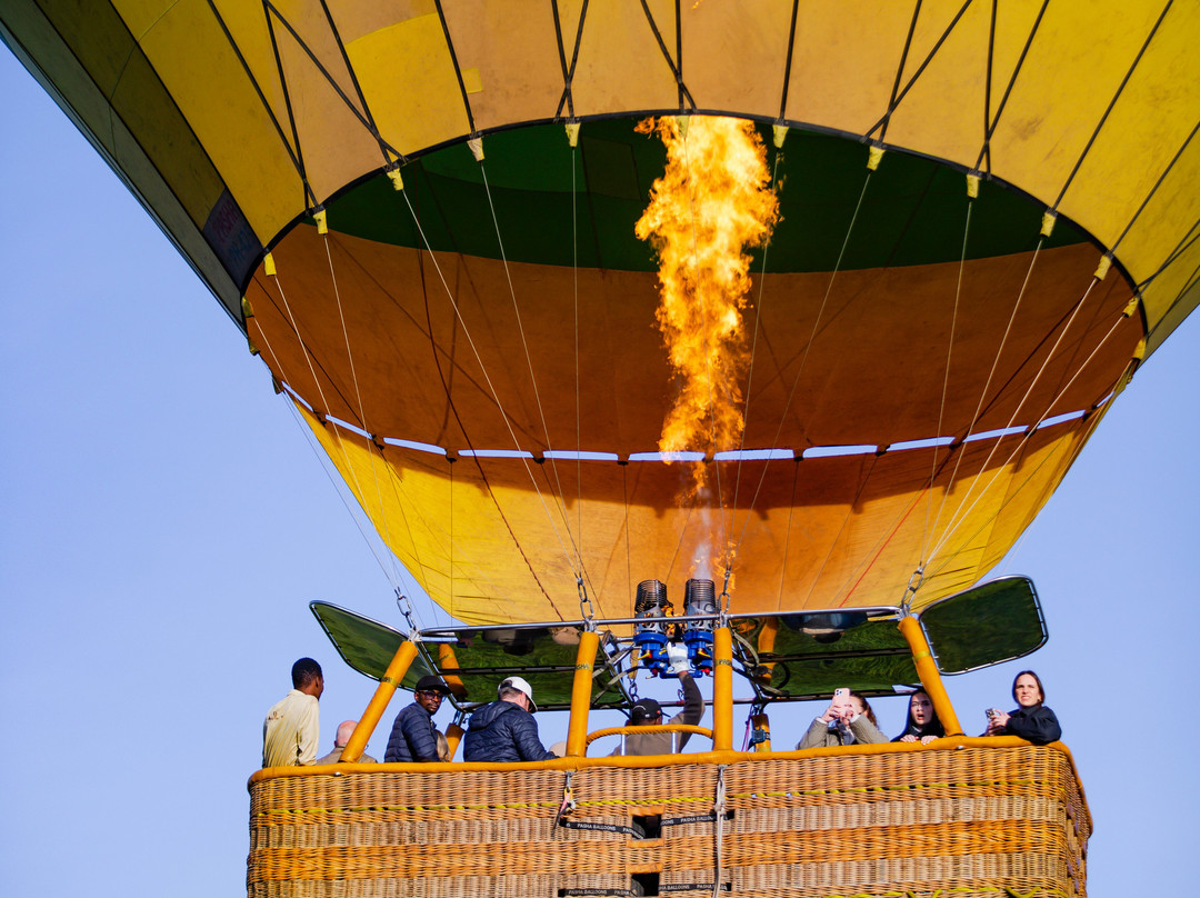 Nyssa Balloon Safaris-Seronera必去景点