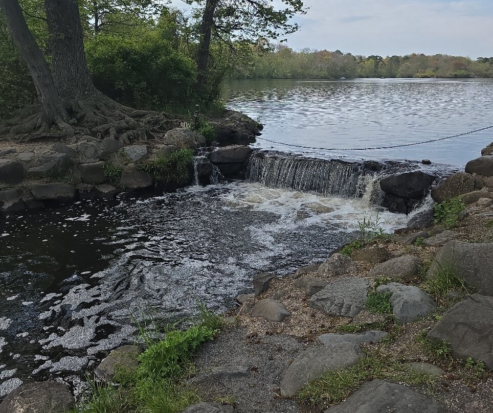 Belmont Lake State Park-North Babylon必去景点