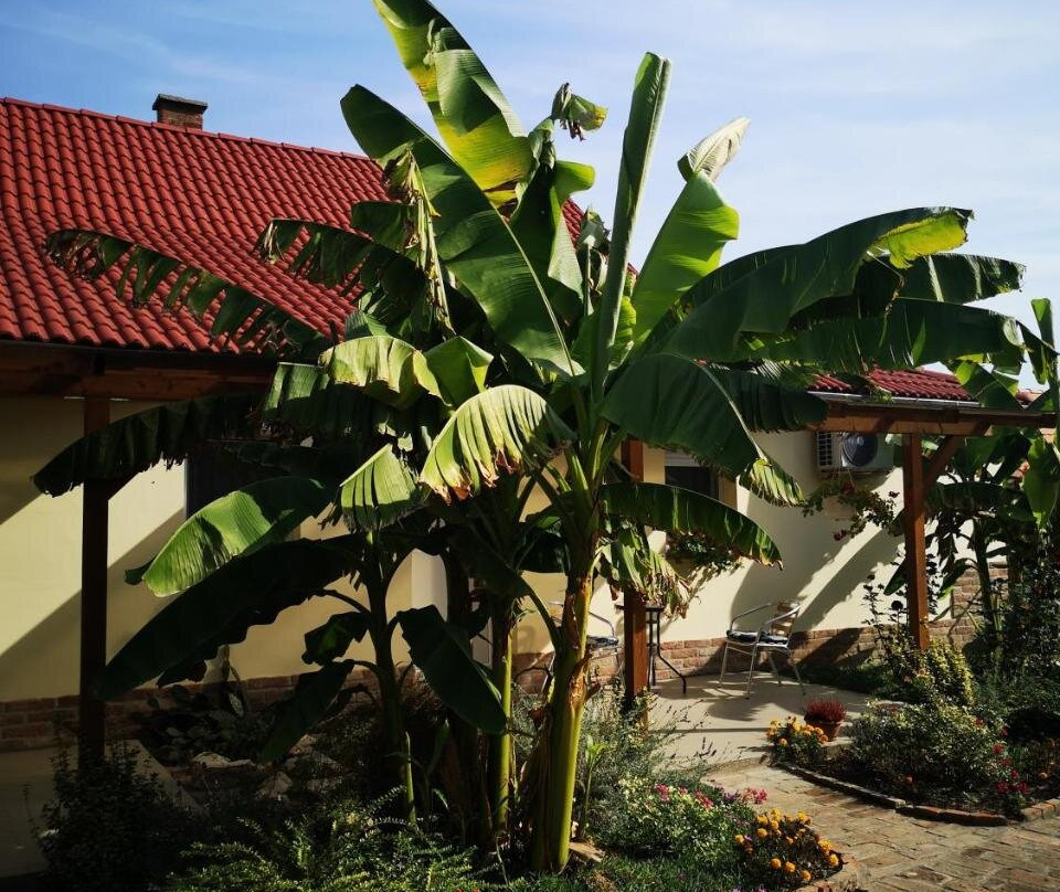 Ráday Apartman