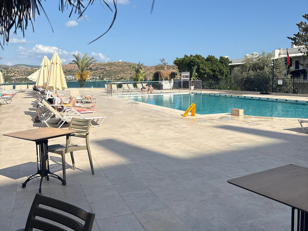 皇家阿萨里克 Spa 海滩酒店 - 全包式主图