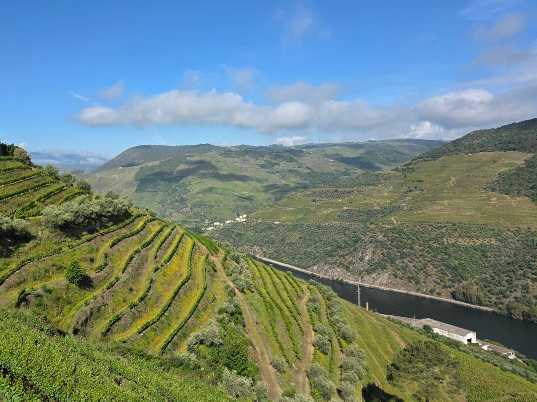 Quinta Vale de Lobos Douro