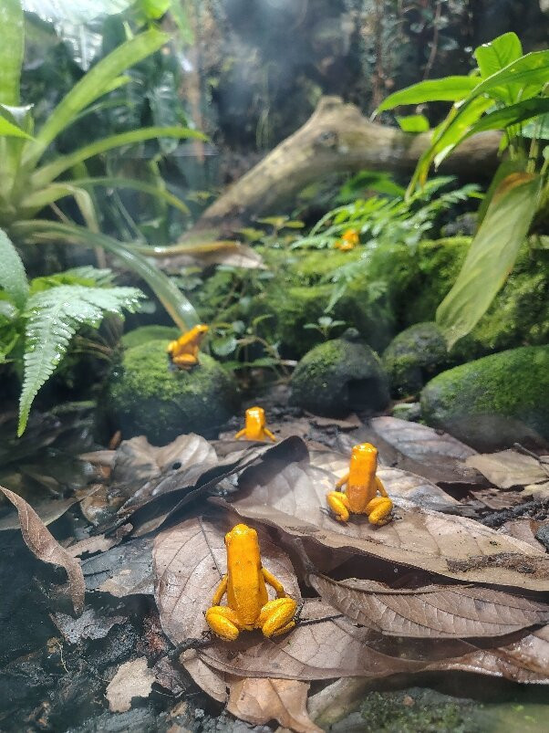 Zoologico de Cali-卡利必去景点