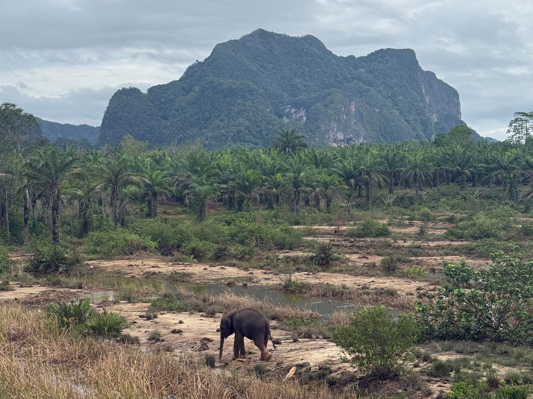Following Giants - Krabi-Khlong Hin必去景点