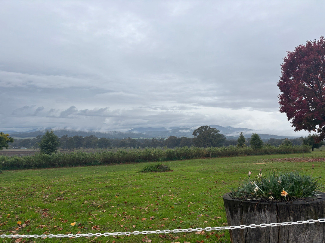 Gracebrook Vineyards-King Valley必去景点