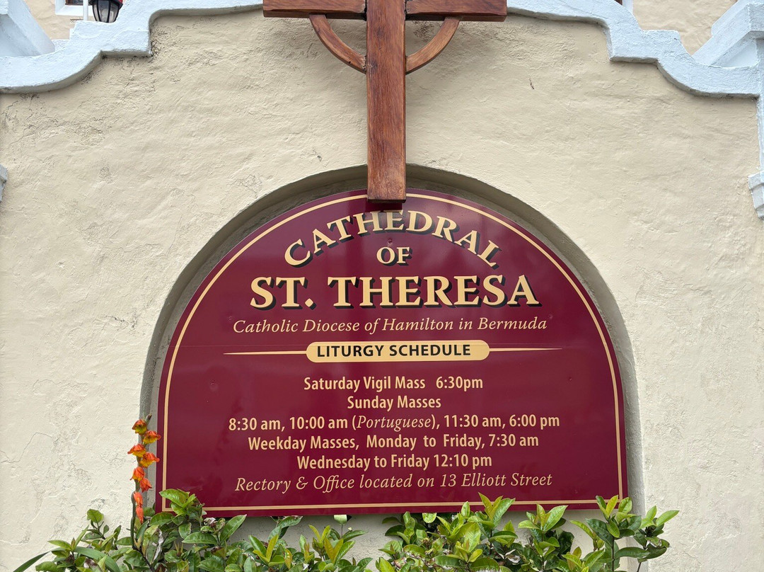 St. Theresa's Catholic Cathedral-汉密尔顿必去景点