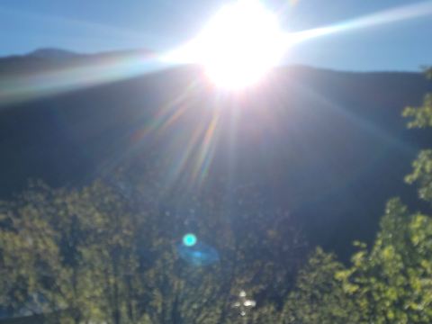 隆切特斯旅馆-旅行者