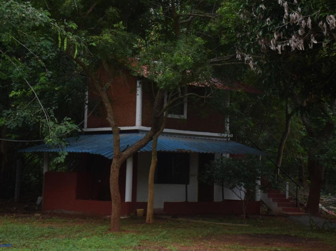 Purity Stay by Crib Community