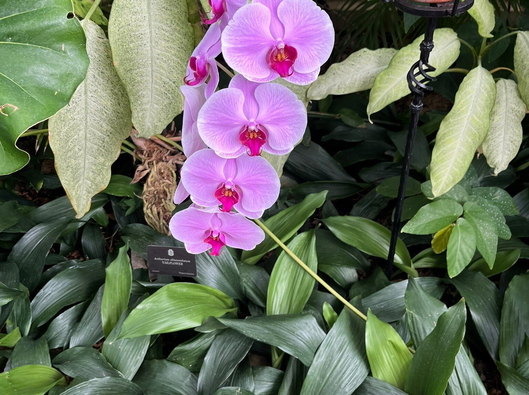 State Botanical Garden of Georgia-阿森斯必去景点