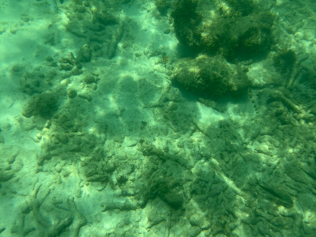 Dressel Divers - Barceló Maya Riviera-Barcelo Maya必去景点
