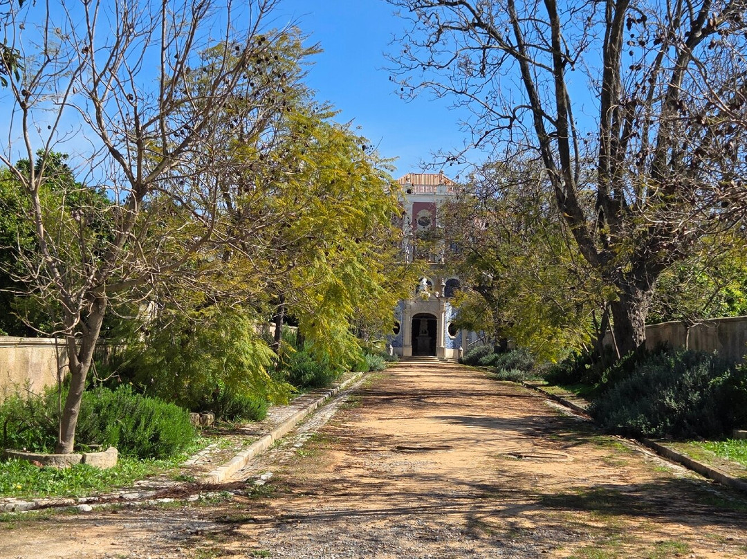 Pousada Palácio Estoi – 法鲁主图