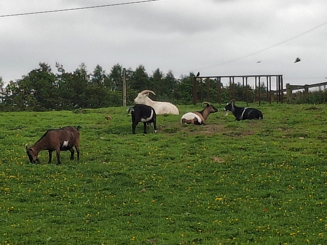 Mossburn Community Farm-Lockerbie必去景点