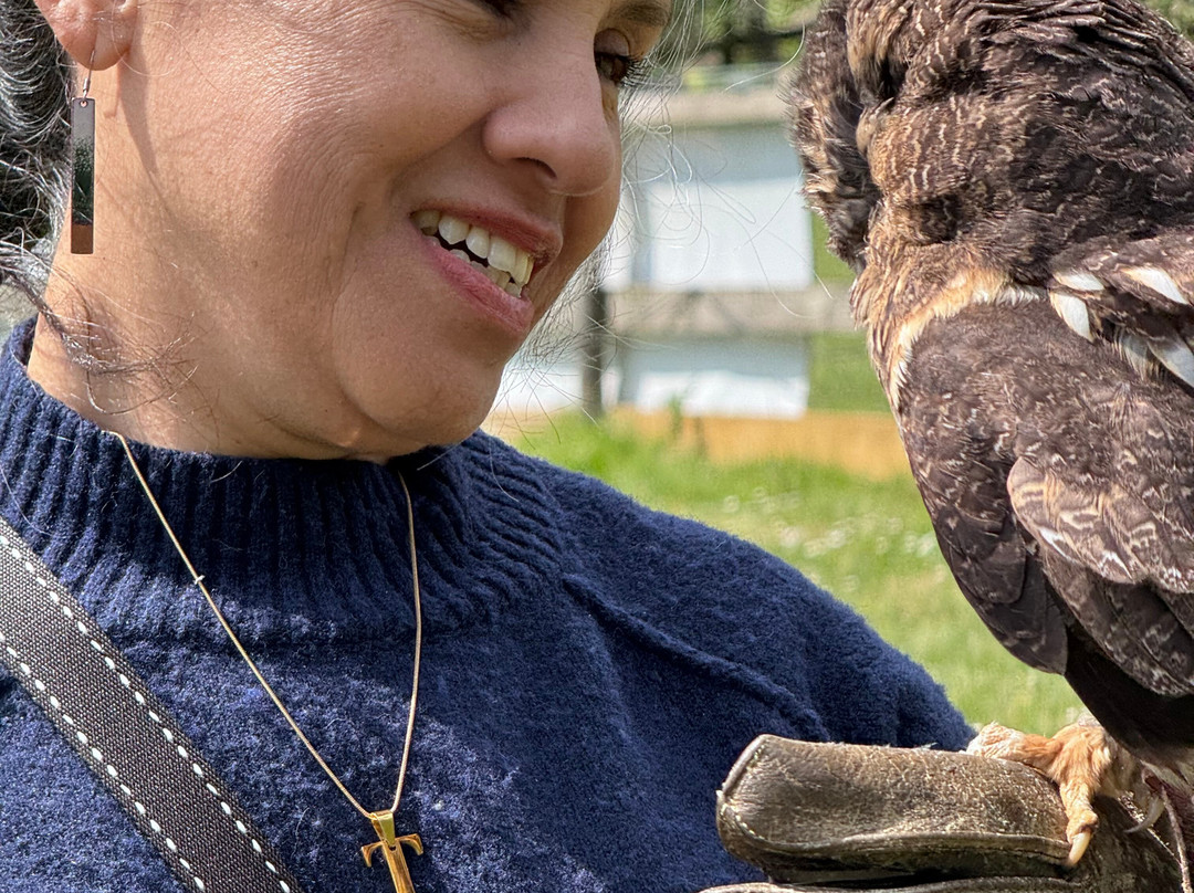 The Falconry Experience-纽波特必去景点
