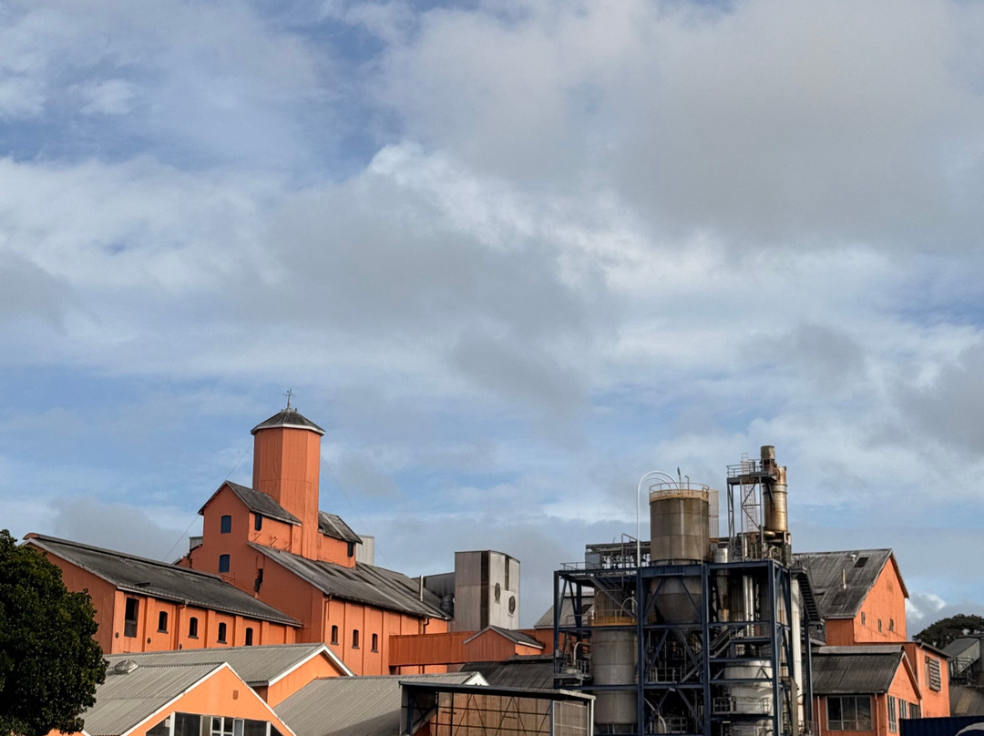 Chelsea Sugar Factory Tours-Birkenhead必去景点