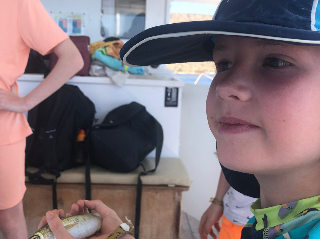 Eva Traditional Fishing Trips-Elounda必去景点