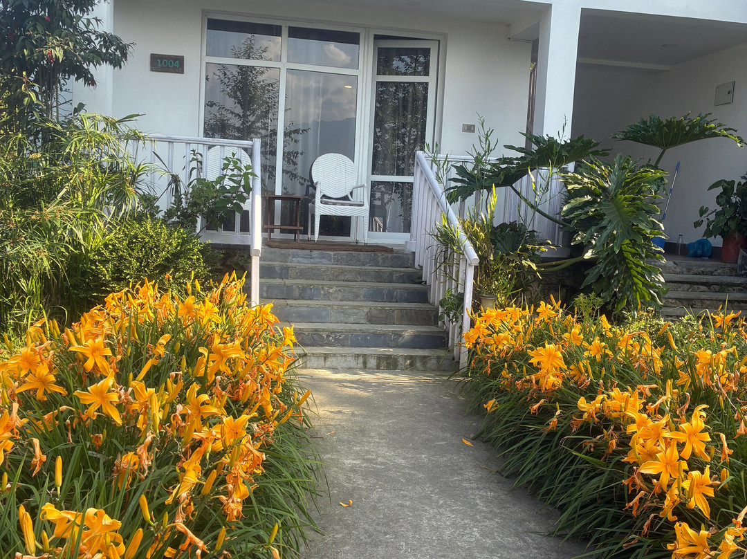 Eco Adventure Resorts the Temi Bungalow主图