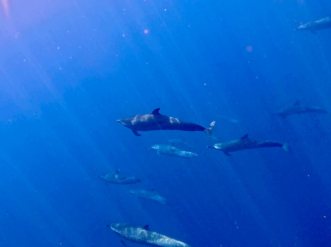 Baja Wild Encounters-La Ventana必去景点