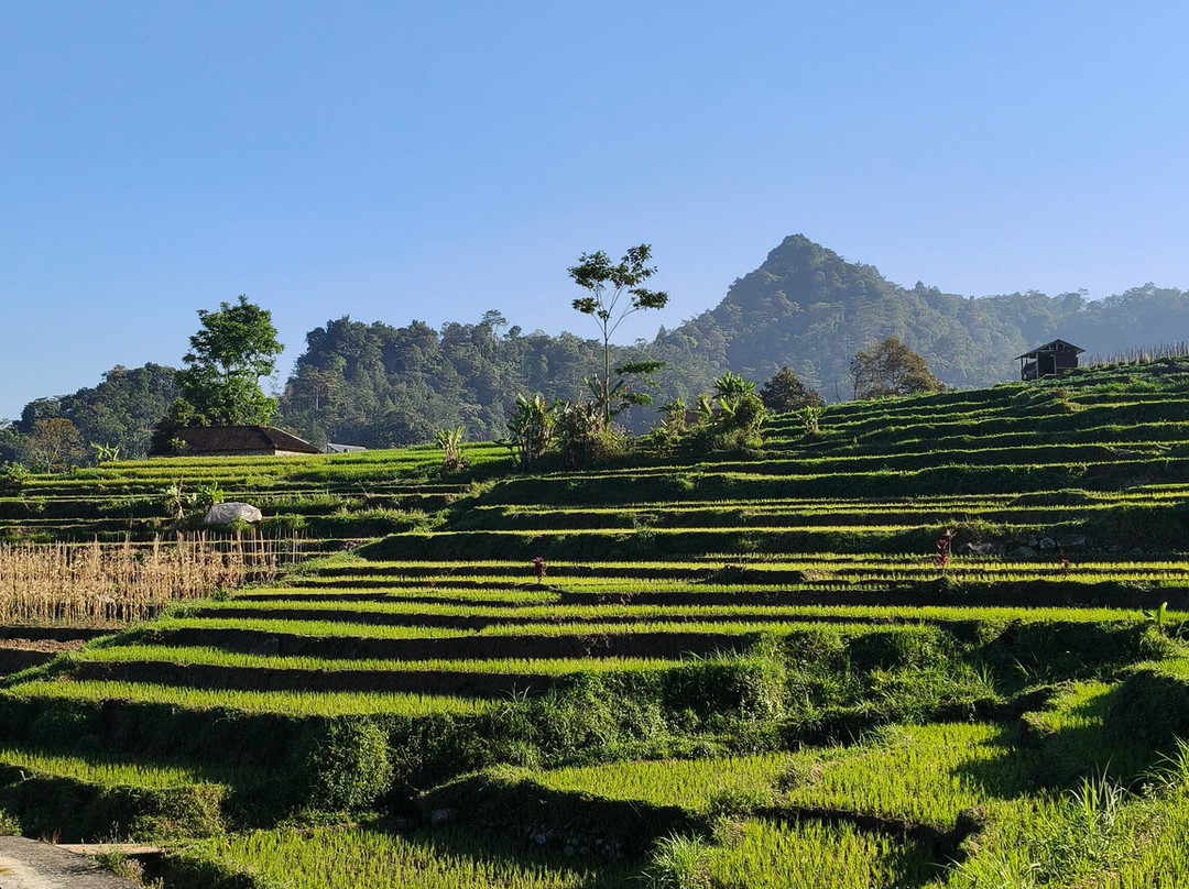 Rumah Atsiri Indonesia-Tawangmangu必去景点