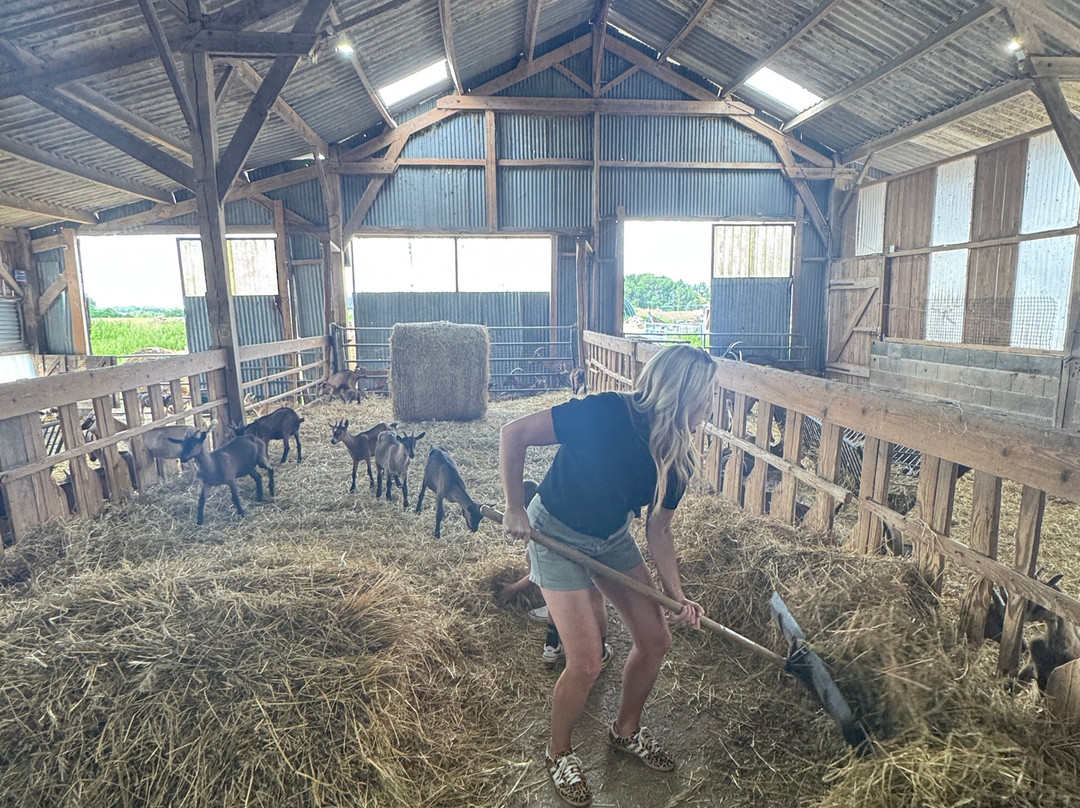 Ferme du Cabri au Lait-Sepmes必去景点
