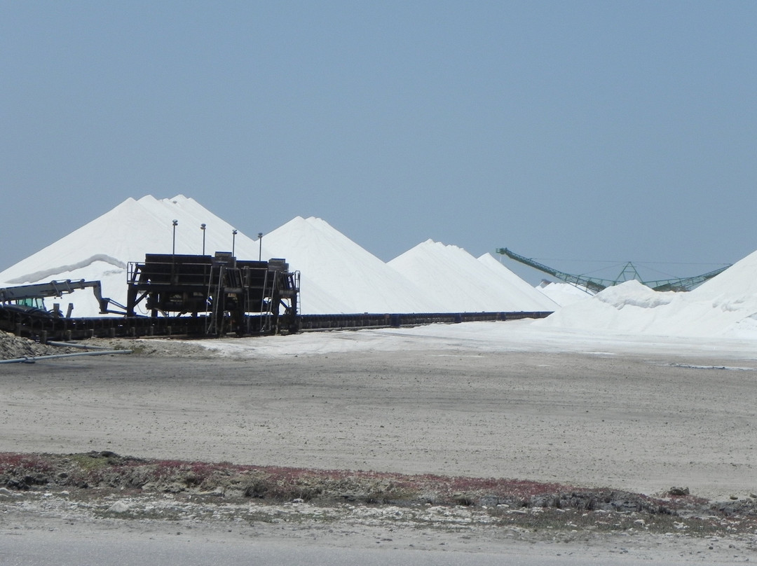 Salt Pier-Kralendijk必去景点