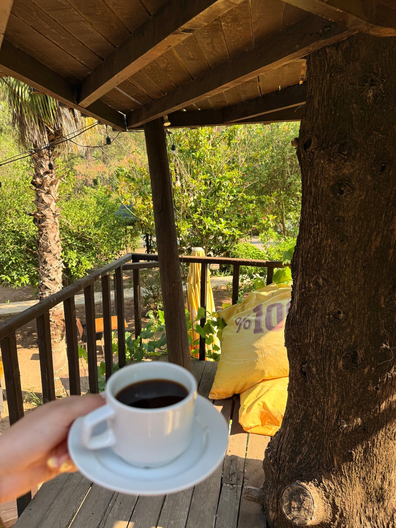 奇巴拉酒店-旅行者