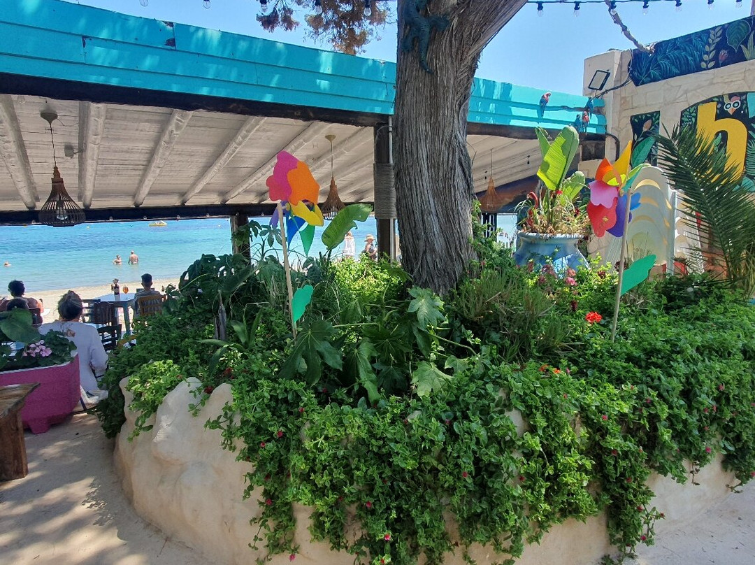 Buah Ibiza