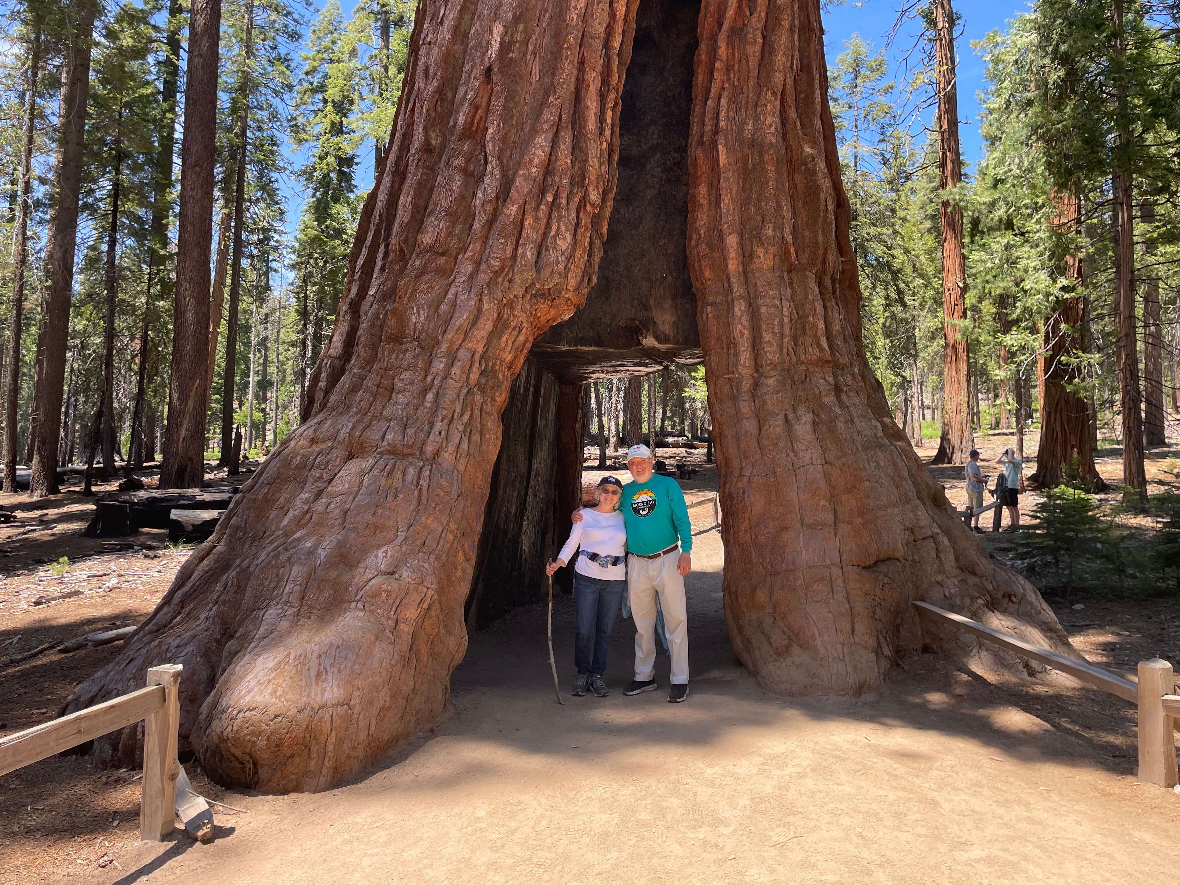 Yosemite West High Sierra Bed and Breakfast-旅行者