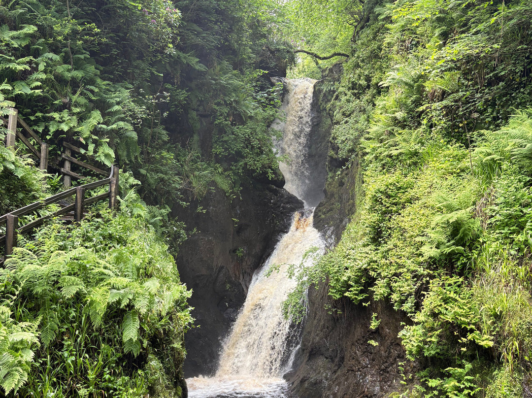 Glenariff Forest Park Caravan Park-Glenariff必去景点