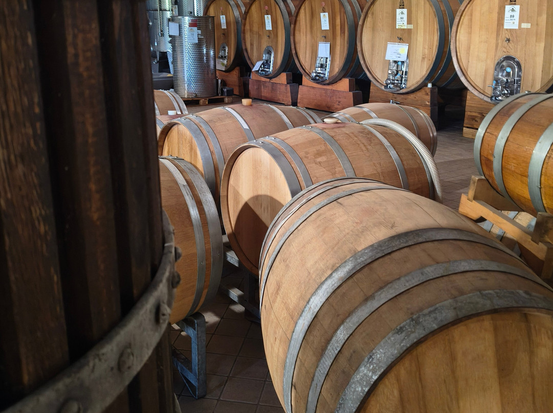 Tenuta La Pergola Cantina-Cisterna d'Asti必去景点