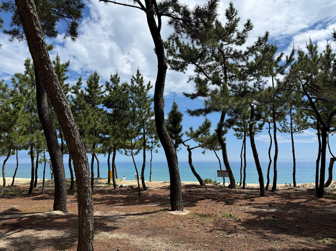 Gyeongpo Beach-江陵市必去景点