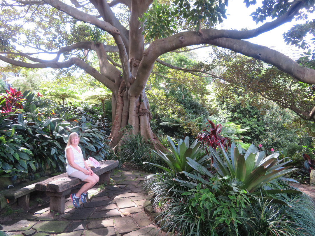 Wendy Whiteley's Secret Garden-北悉尼必去景点