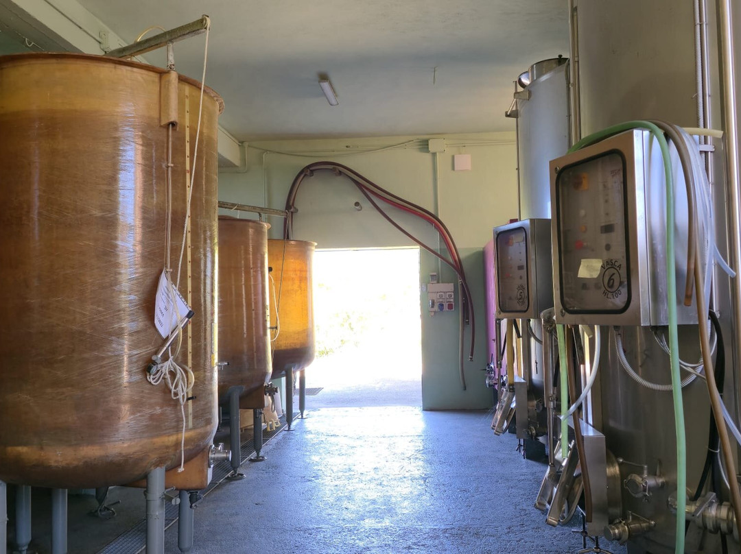 Tenuta Riccardi - Vini dal 1912-Santa Maria della Versa必去景点